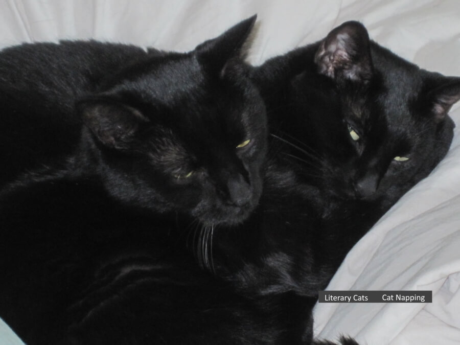 Literary Cats Eliot and Tennyson