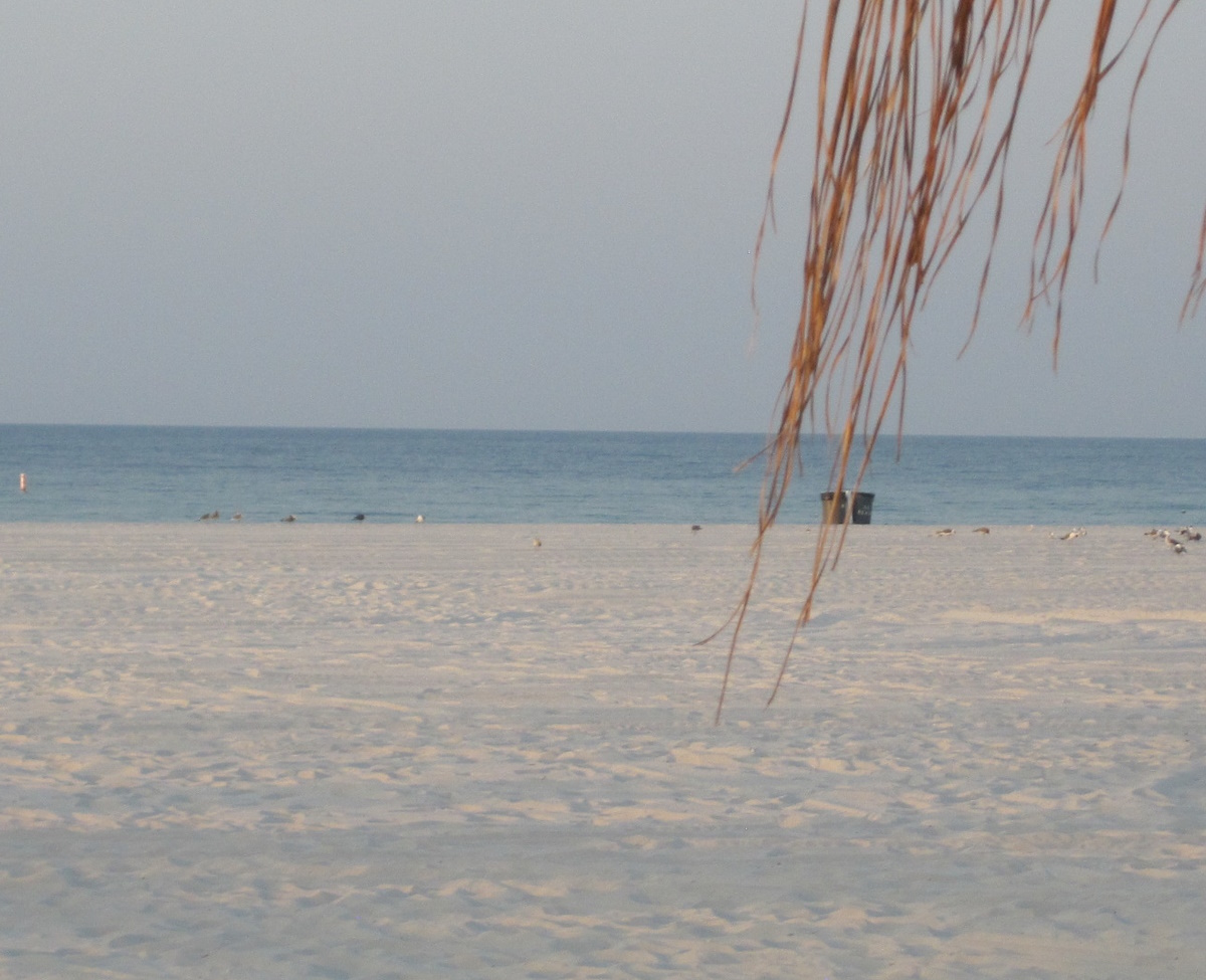 Gulf Shores Beautiful Beach