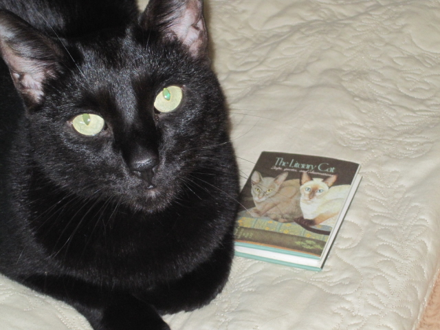Literary Cat Book