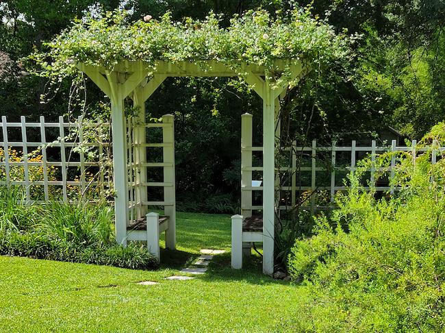 Eudora Welty's Gardens
